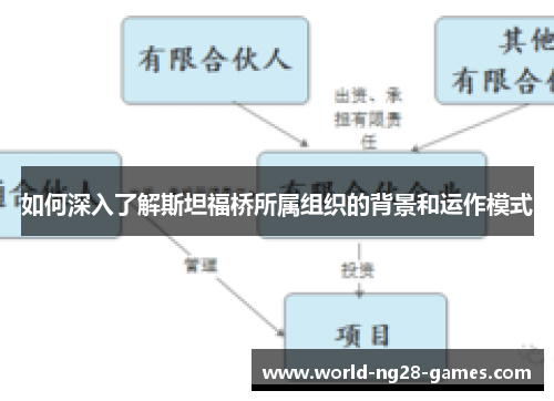 如何深入了解斯坦福桥所属组织的背景和运作模式