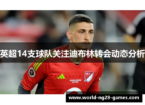 英超14支球队关注迪布林转会动态分析 英超14支球队关注迪布林转会动态分析