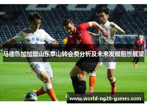 马德鲁加加盟山东泰山转会费分析及未来发展前景展望