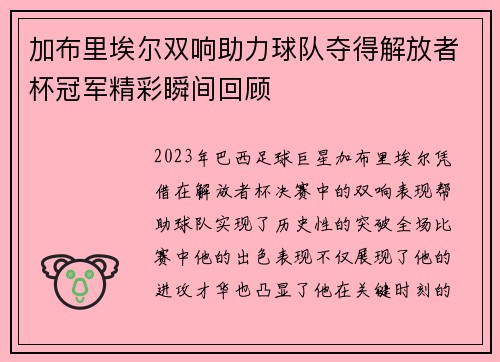 加布里埃尔双响助力球队夺得解放者杯冠军精彩瞬间回顾