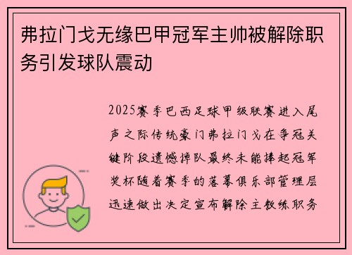 弗拉门戈无缘巴甲冠军主帅被解除职务引发球队震动